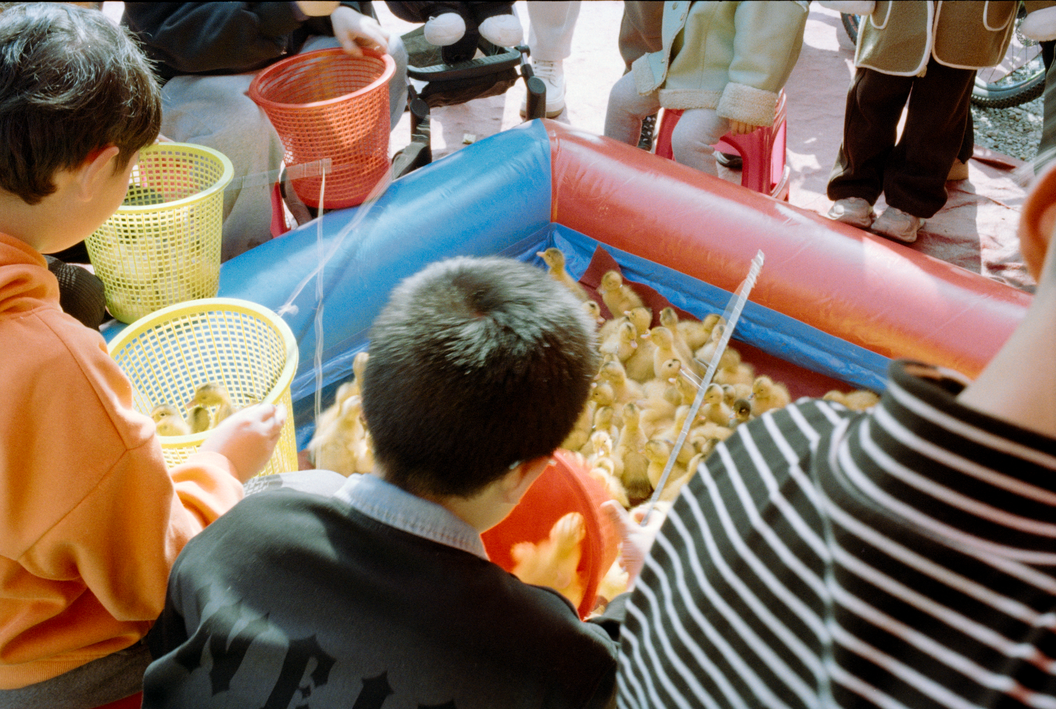 Photography Series 01, image 2