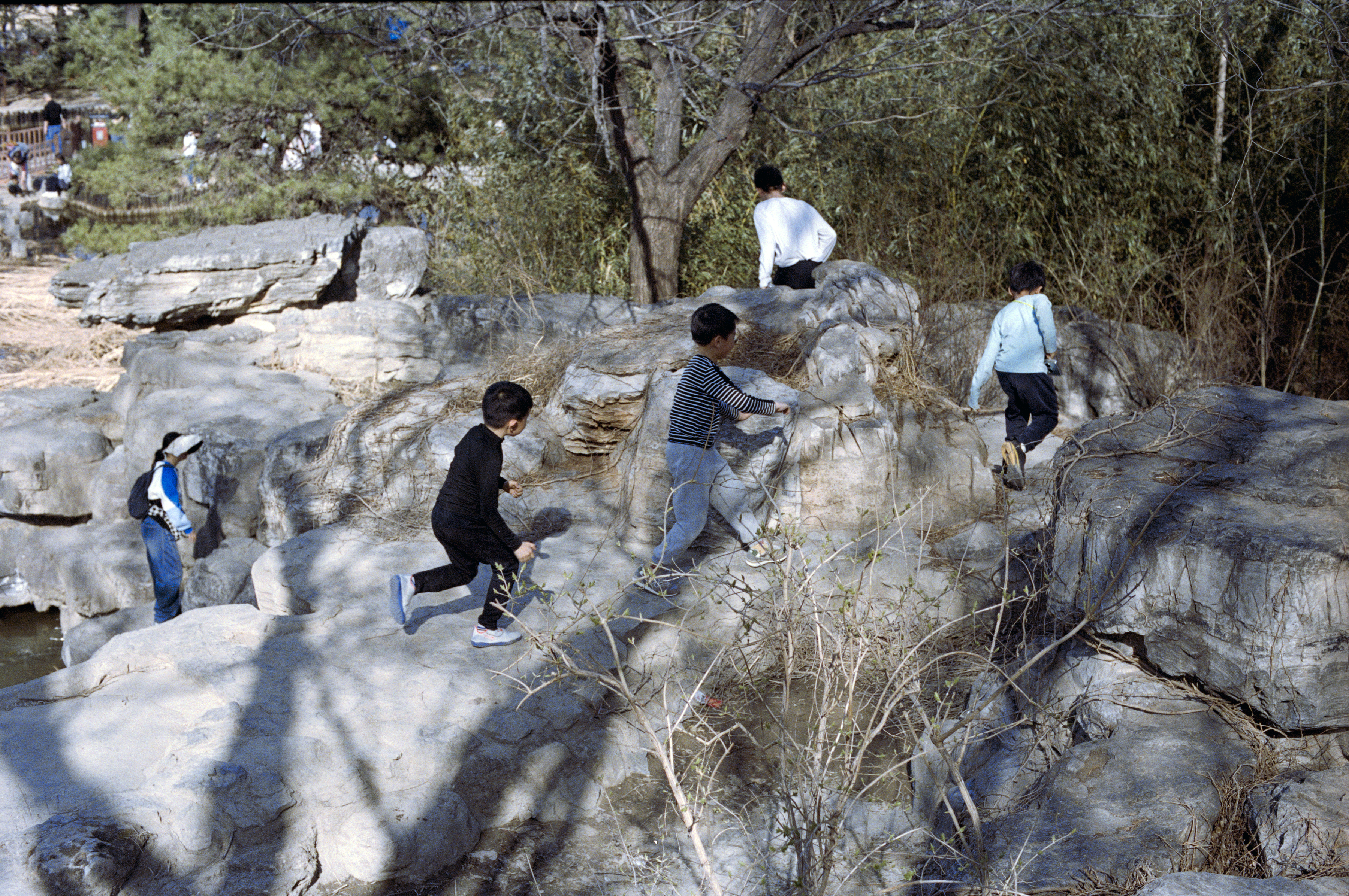 Photography Series 01, image 5