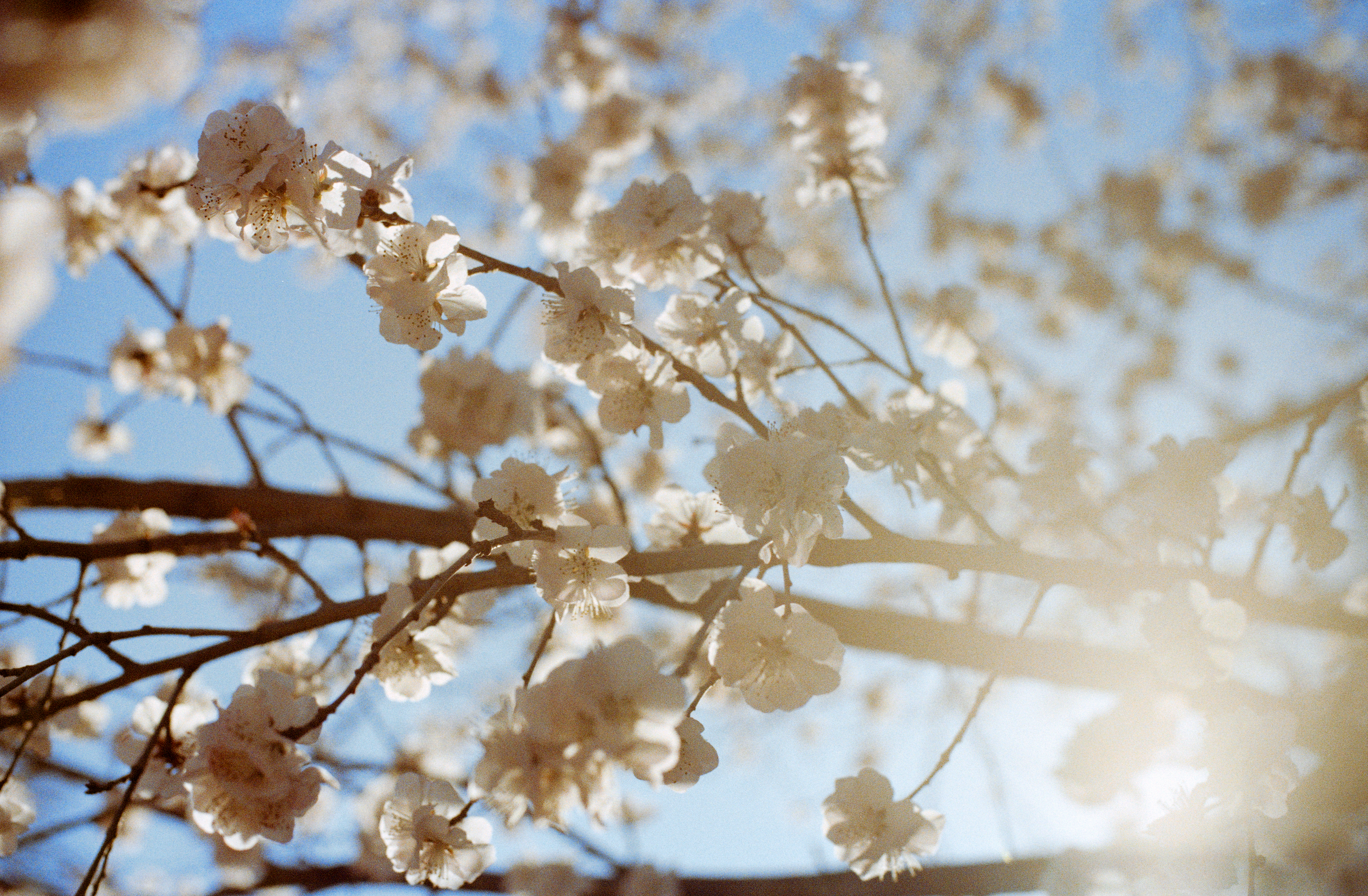 Photography Series 01, image 6