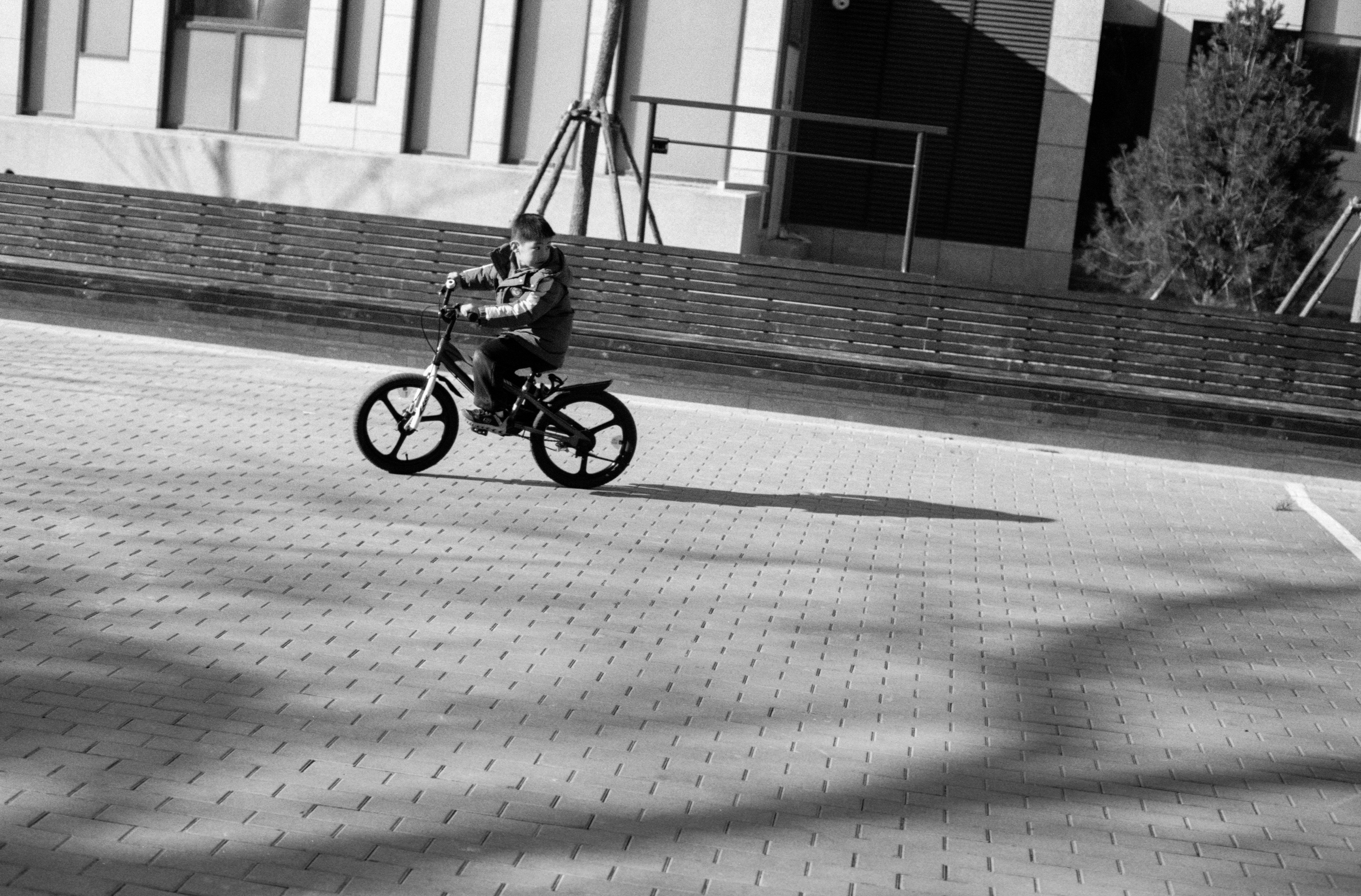 Photography Series 04, image 2