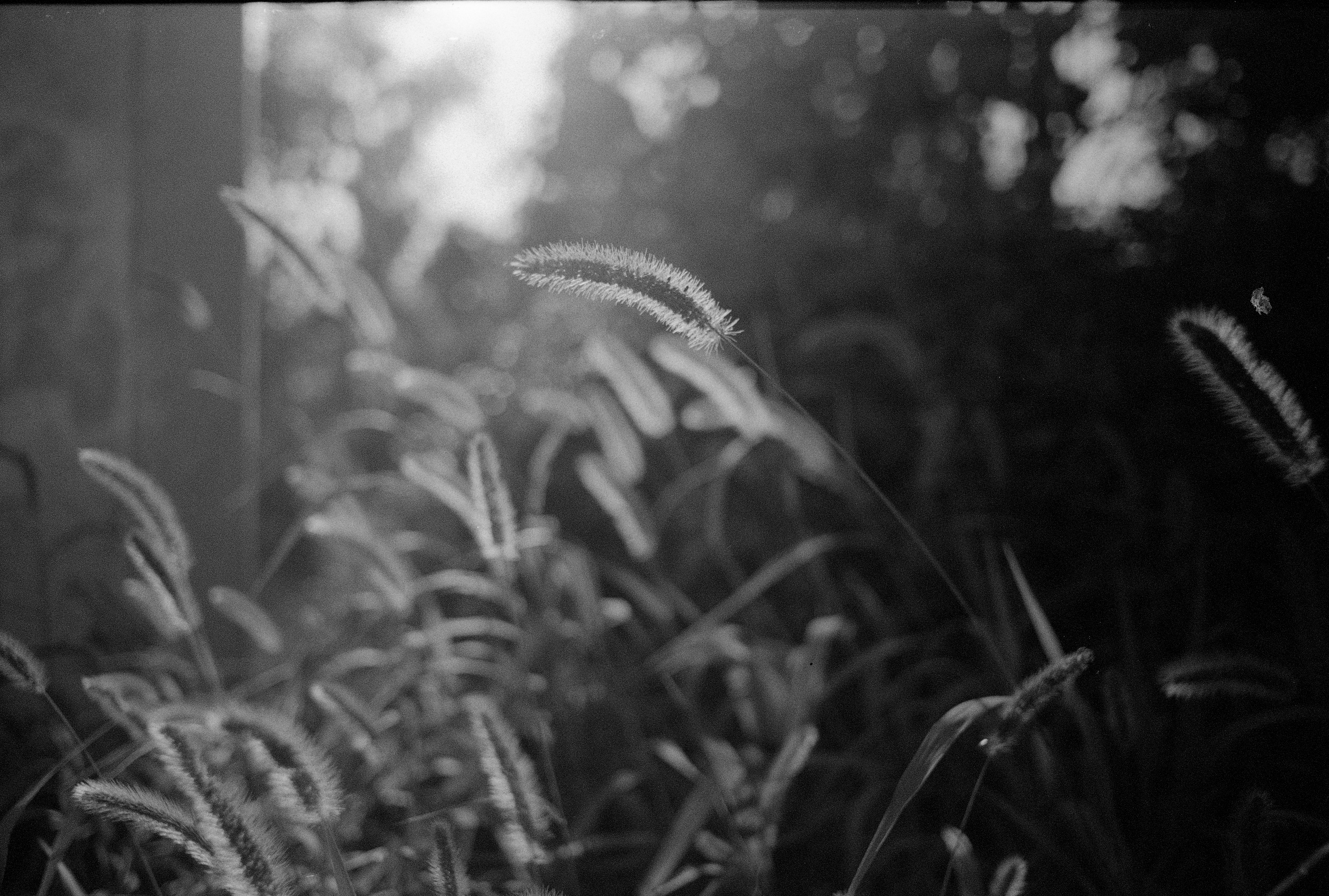 Photography Series 04, image 4