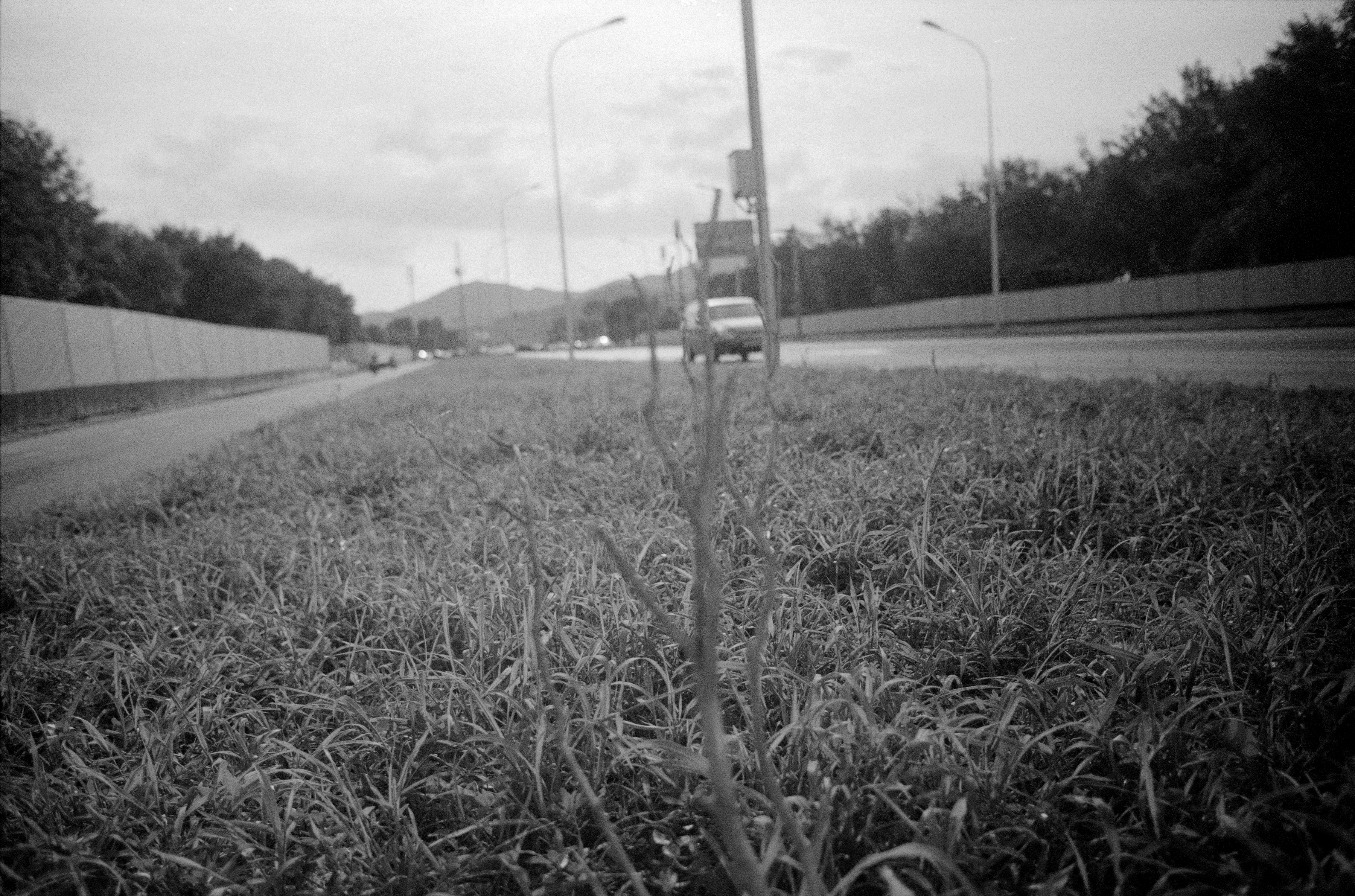 Photography Series 04, image 6