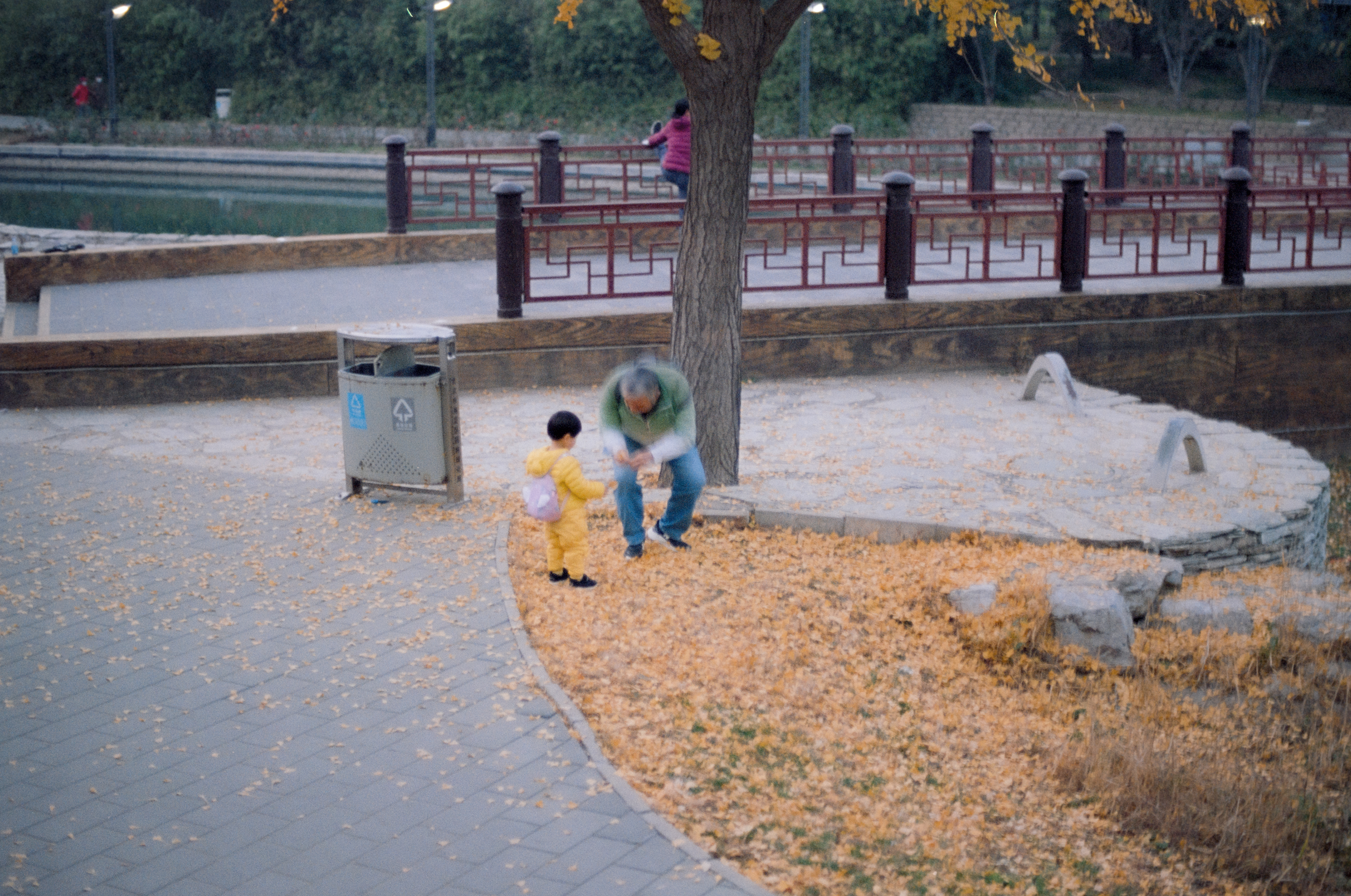 Photography Series 05, image 1