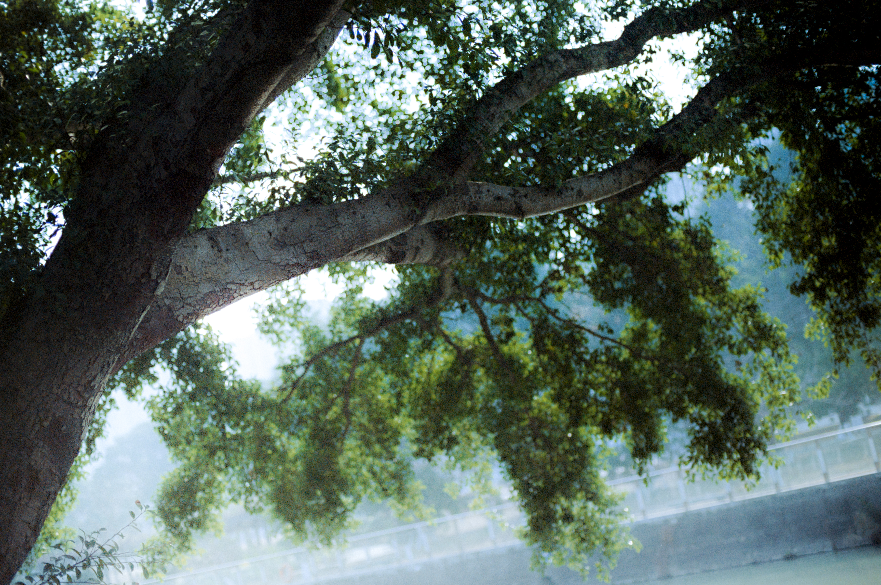 Photography Series 05, image 6