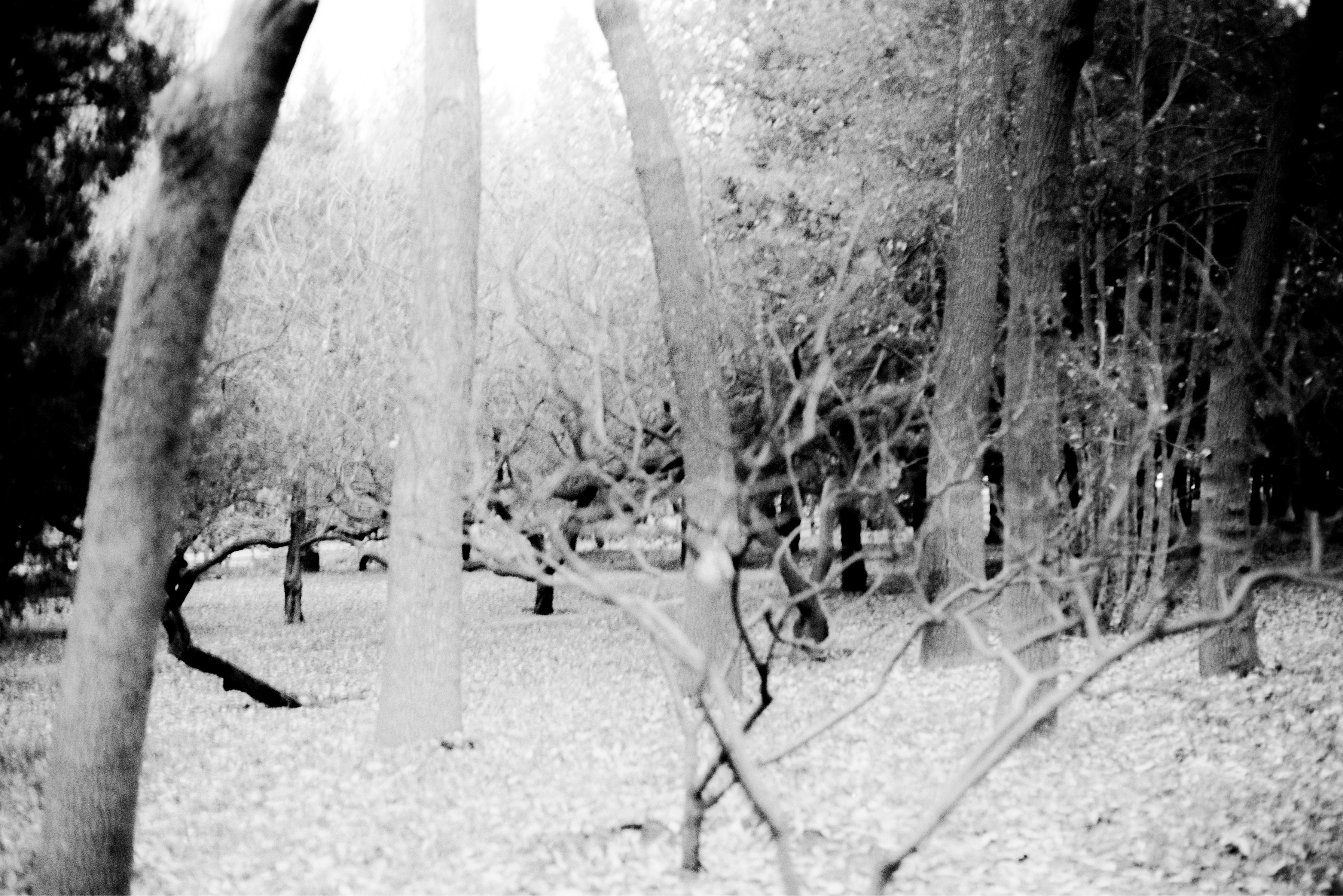 Photography Series 05, image 8