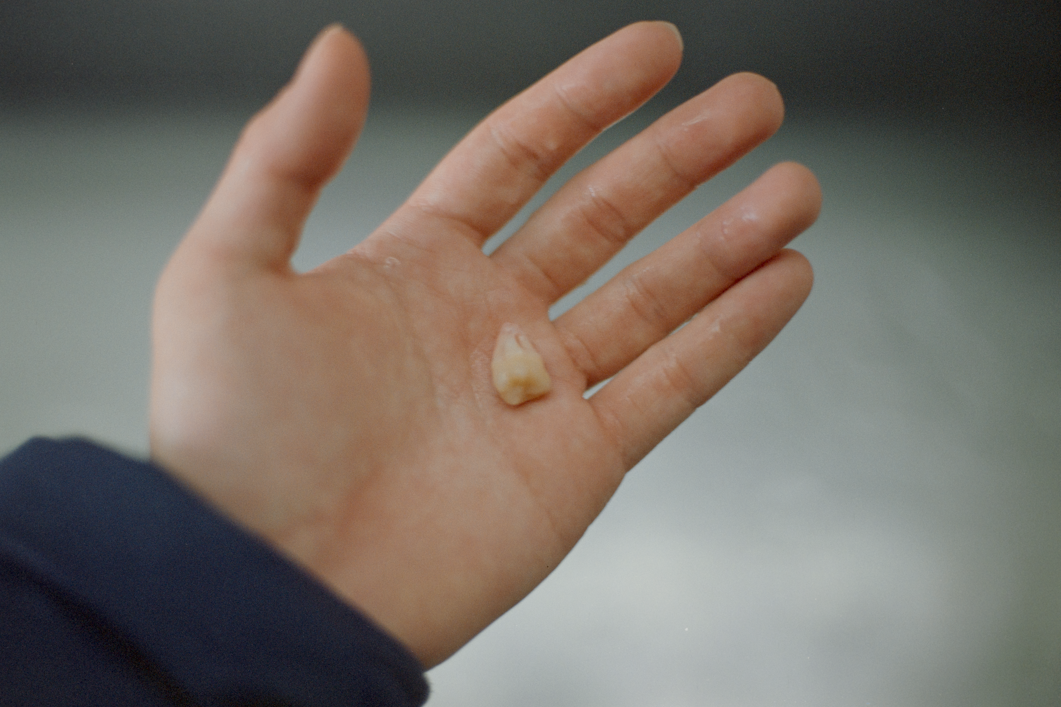 Photography Series 05, image 3