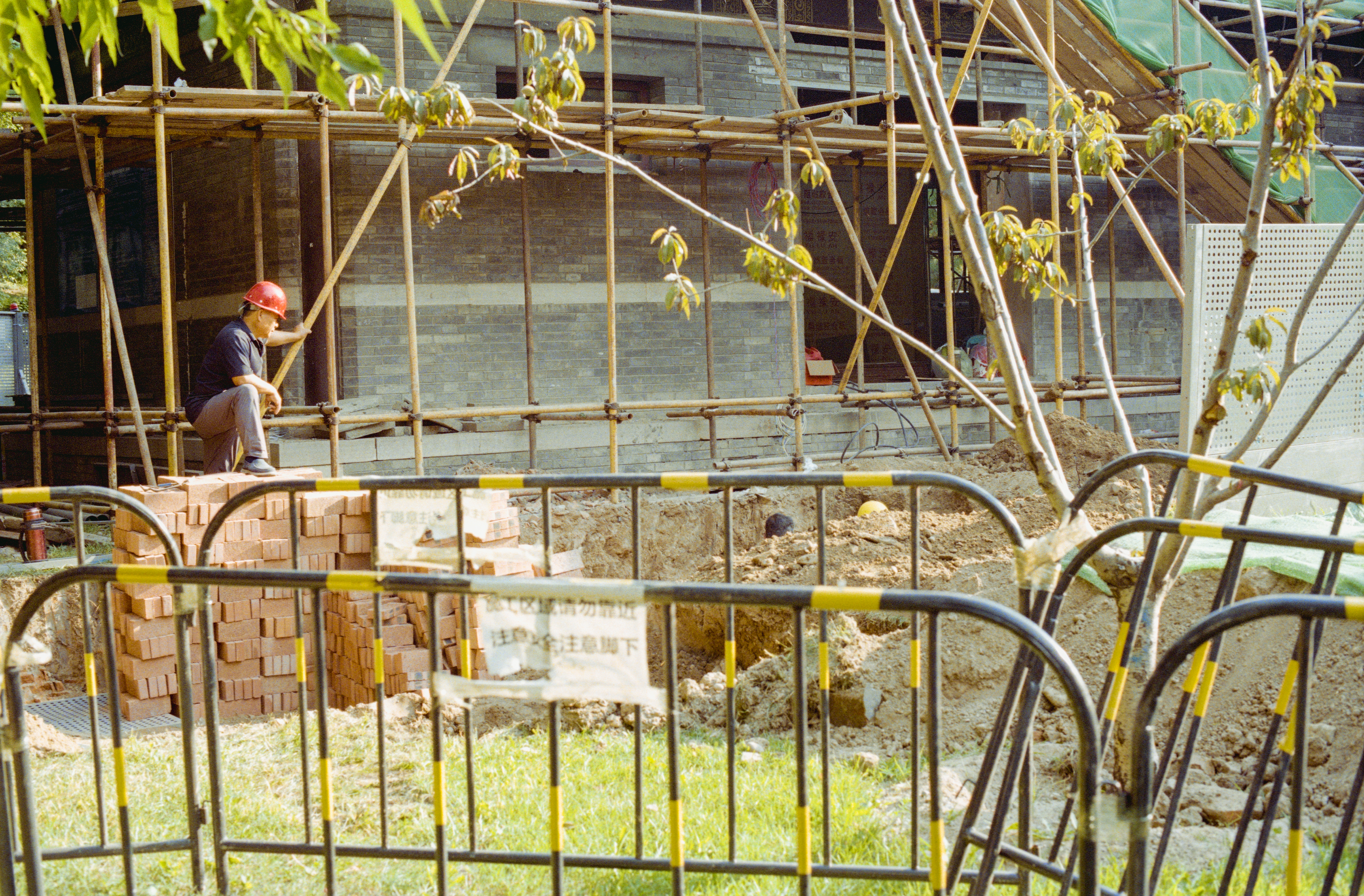Photography Series 05, image 4