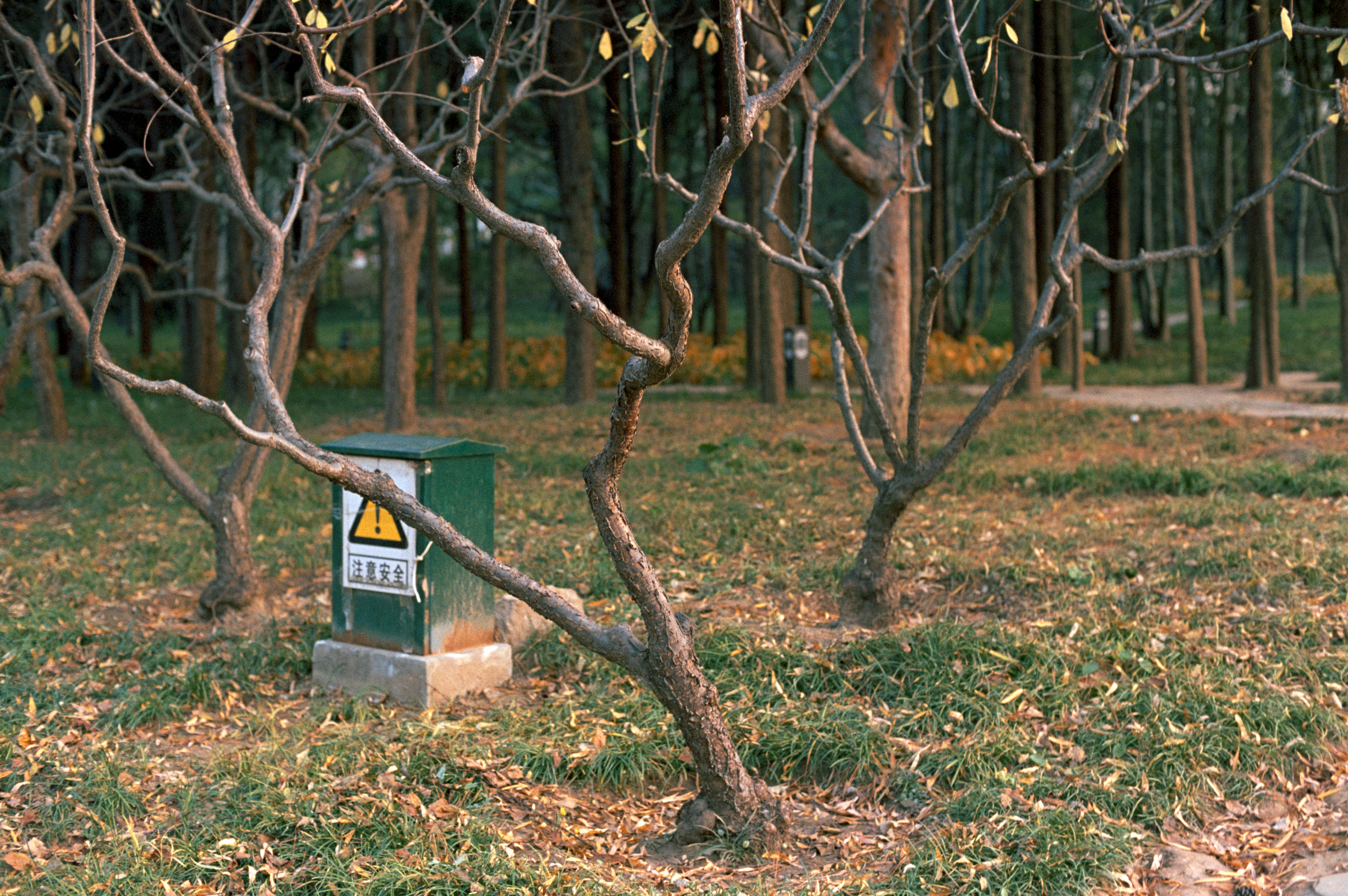 Photography Series 05, image 5