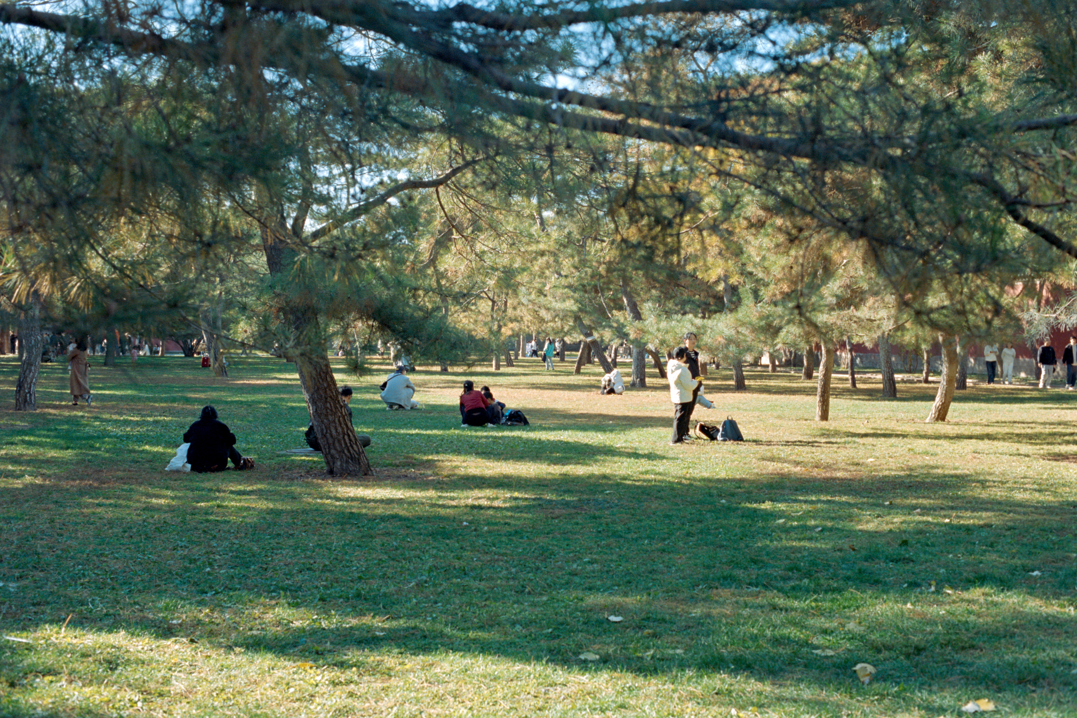Photography Series 06, image 3