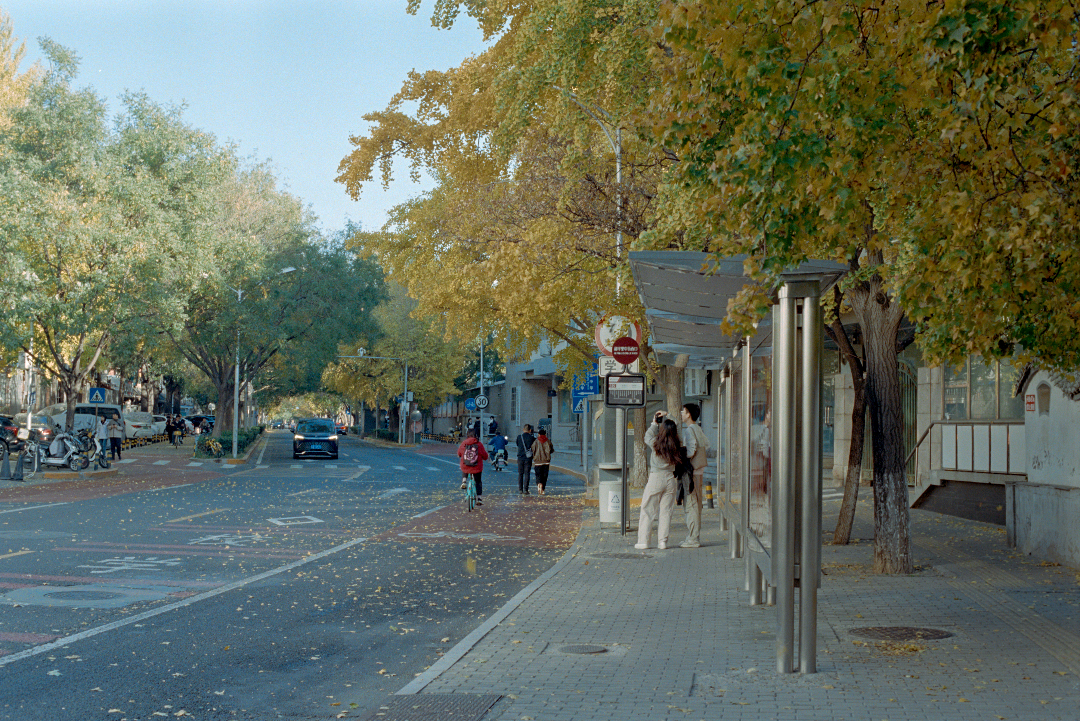 Photography Series 06, image 4