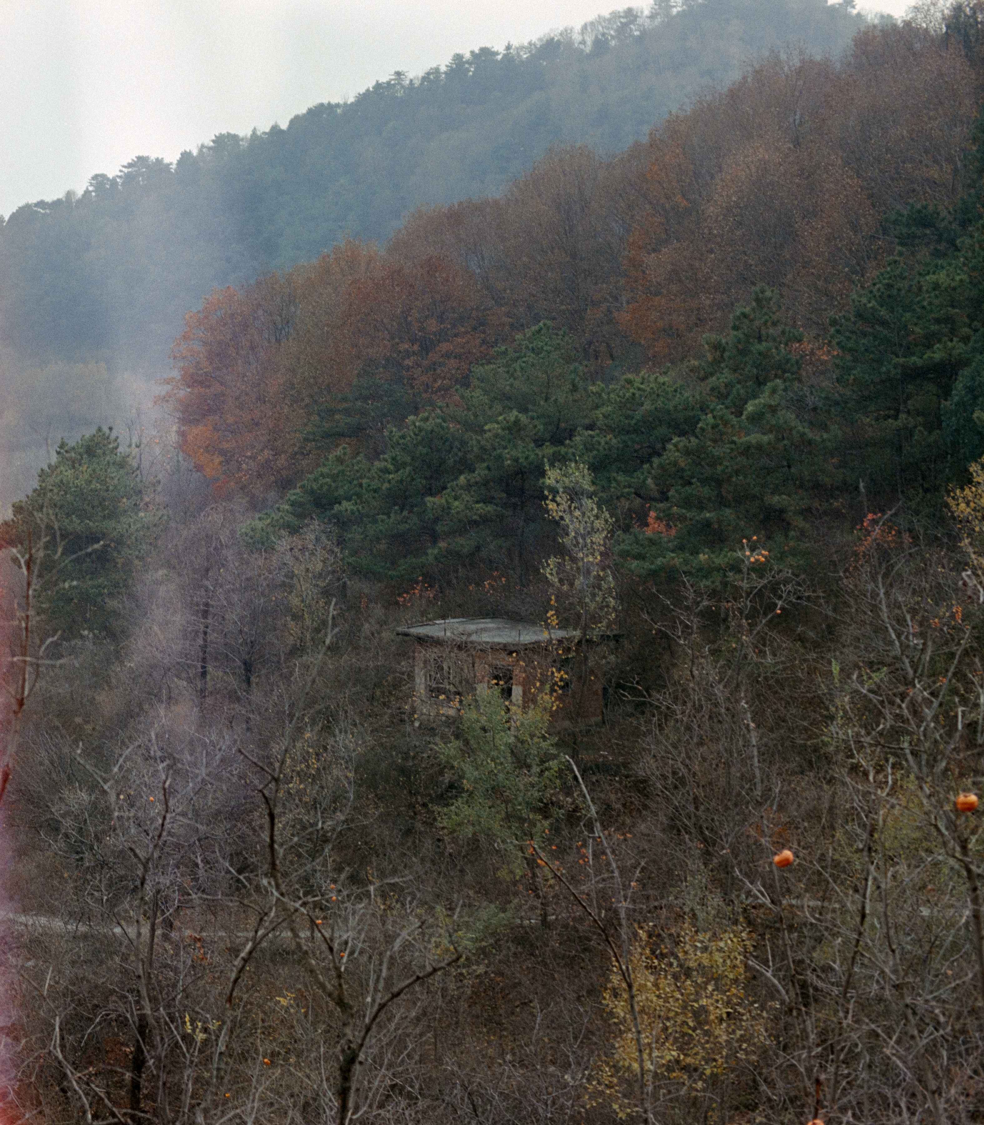 Photography Series 06, image 5